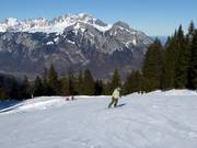 Pista di esercitazione Furt