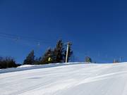 Osthanglift - Skilift con T-bar/ancora