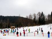 Area di esercitazione accanto alla pista da slittino