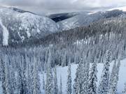 Vista sulle discese tra i boschi (Gladed Runs)