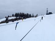 Surface Tow - Manovia/Babylift a fune bassa