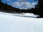 Pista facile Flower Basin