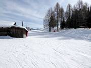 Pista di esercitazione con skilift a piattello al Buffaure