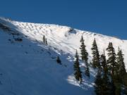Ripide piste di gobbe nella Pallavicini Bowl