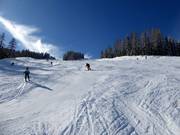 Discesa Burgstallalm sulla Planai