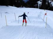 Pista ondulata in Ochsengarten