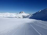 Tracce sulla neve con panorama sul Rettenstein