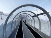 Alfombra Doble Dauro - Tapis roulant/Tappeto Magico con galleria