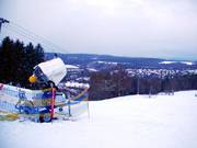 Un aereo a elica e una lancia garantiscono la neve