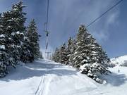 T-Rex T-Bar - Skilift con T-bar/ancora