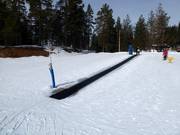 Blåmesen - Tapis roulant/Tappeto Magico