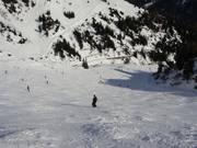 Pista n. 52 Kandahar-Galzig