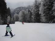 Parte superiore della pista