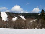 Vista sulle discese tra le radure del bosco con torre radio