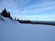 Pista Novak Doković 8