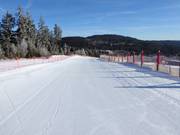 Ottima preparazione delle piste all'Arber