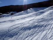 Si trovano spesso tracce nella neve fresca accanto alle piste