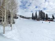 Area principianti presso la seggiovia Shoshone