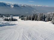 Discesa Torlaufstrecke