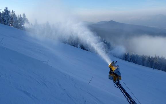 Sicurezza neve Zwieseler Winkel – Sicurezza neve Arber