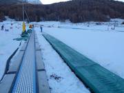 Cucciolo 2 - Tapis roulant