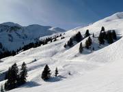Zona di neve fresca al Seekar