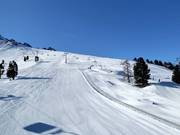 Discesa Zirmabfahrt Est