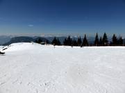 Sciovia presso il Brandstadl a Scheffau