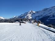 Pista di esercitazione Les Mazots (Les Diablerets)
