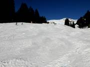 Discesa a valle Hasliberg-Reuti