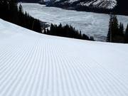 Pista preparata nell’area sciistica di Åre