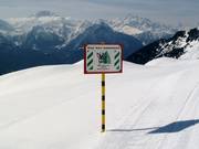 Sensibilizzazione ambientale