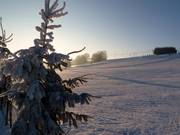 Alba nell’area sciistica Halde