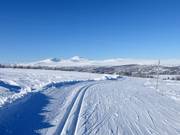 Pista da fondo a Ramundberget