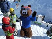 Mascotte Noah, il piccolo orso bruno