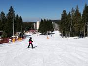 Pista di esercitazione Rotata