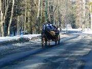 Si può andare alla stazione a valle in carrozza.