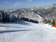 Discesa FIS Coppa del Mondo