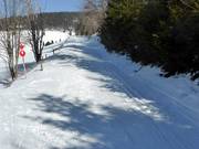 Presso la seggiovia Kapellenlift, la pista da fondo segue il percorso sciistico.
