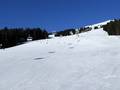 Piste Saalbach Hinterglemm Leogang Fieberbrunn (Skicircus)