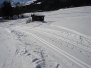 Pista da fondo verso Greitalm (Alpbach)