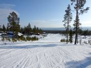 Pista Snöflingan n. 2