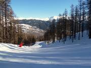 Tipica discesa a valle attraverso il bosco
