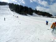 Sciovia con pista nella zona a valle