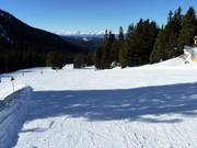 Pista facile e larga Toler a Obereggen