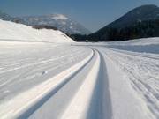 Piste da fondo perfettamente preparate