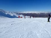 Pista facile Footrot Flats