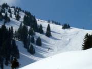 Spazio per il freeride