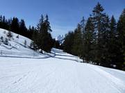 Facile pista di collegamento dal Hornberg a Schönried