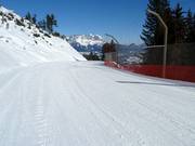 Discesa per famiglie Streif n. 21